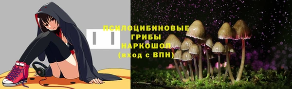 прущий лед Абаза