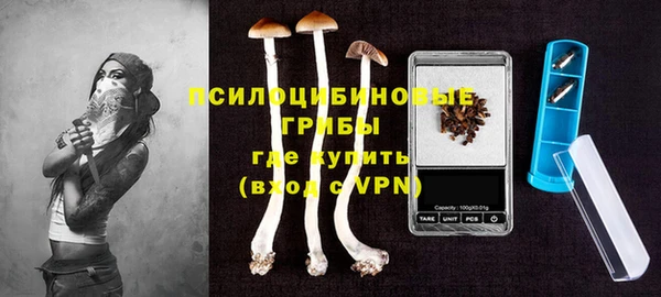 прущий лед Абаза