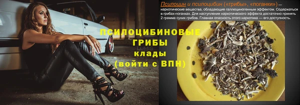 apvp Алзамай