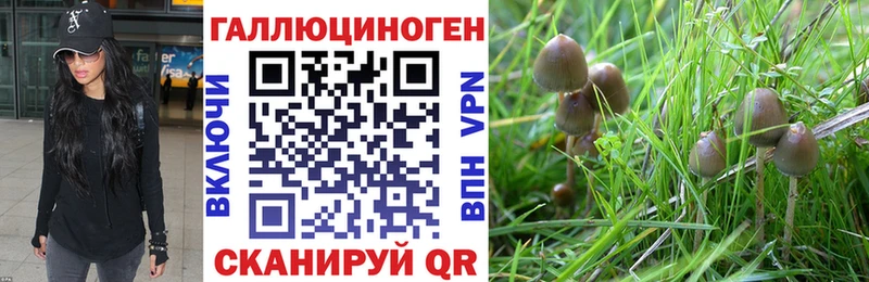 Галлюциногенные грибы Magic Shrooms  даркнет сайт  KRAKEN зеркало  Сорочинск 